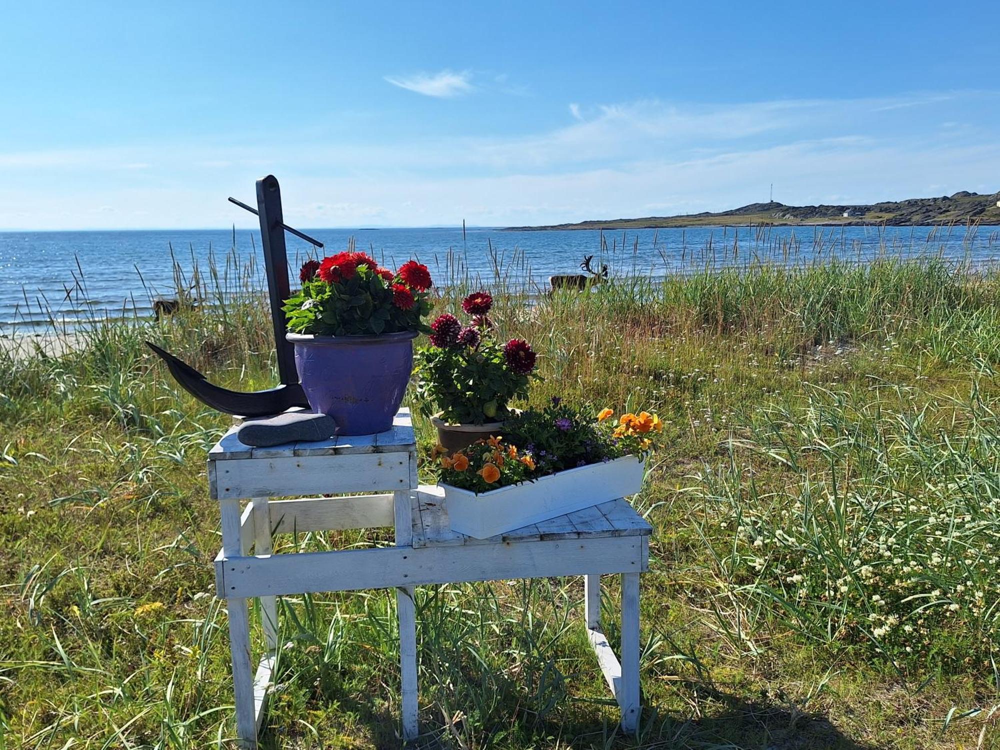 Feriehus Ved Barentshavet - Holiday Home By The Barents Sea Ytre Kiberg Exterior foto
